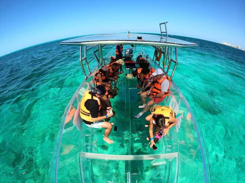 Isla Mujeres: Excursion Crystal Boat Tour at the Caribbean - Marine Life: What You Might See