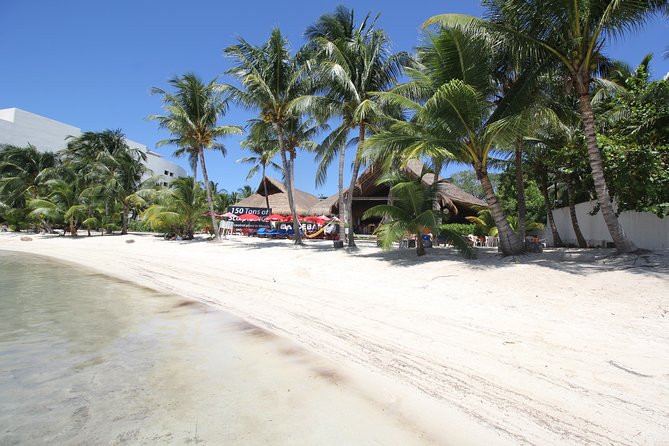 Isla Mujeres luxury catamaran with premium open bar and lunch - Isla Mujeres Town: One Hour of Free Time