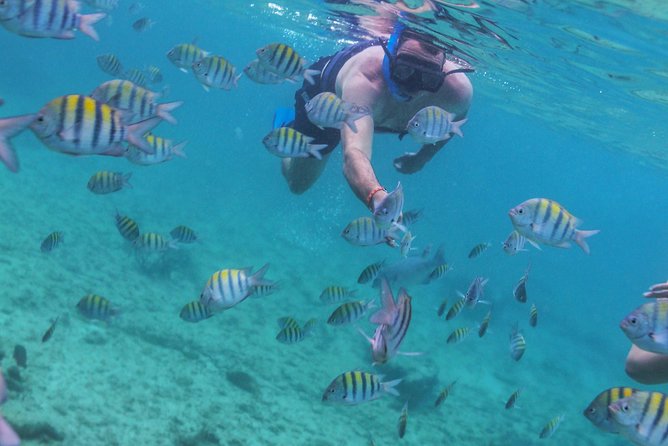 Isla Mujeres Luxury Sailing: Adults Only or Family Friendly - Lunch onboard: included, but keep expectations modest