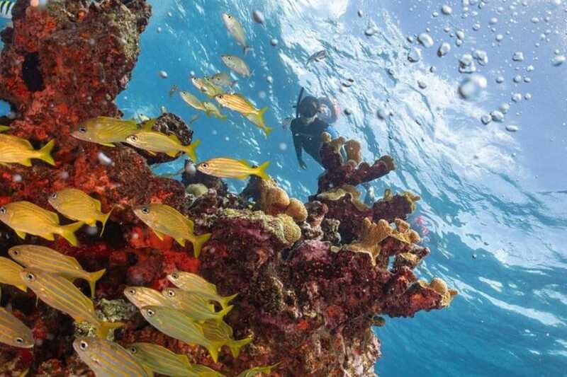Isla Mujeres: Snorkel Tour at Musa and Manchones Reef - Clear water, but not always calm water