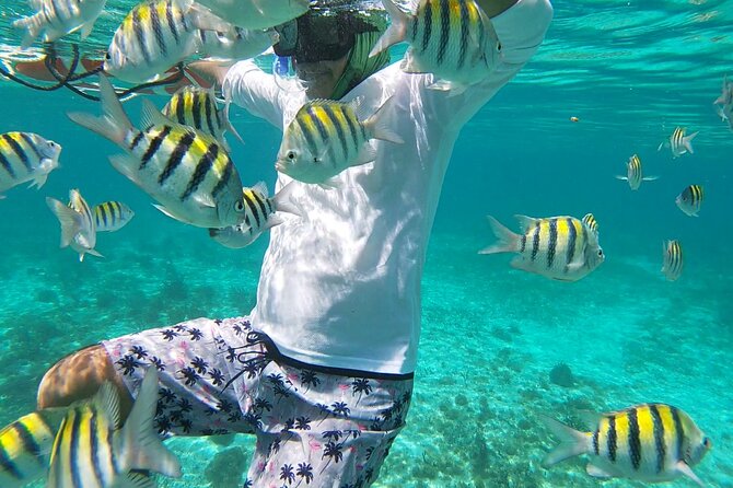 Isla Mujeres Snorkeling Adventure at the Underwater Museum - Getting Off the Boat Requires Care
