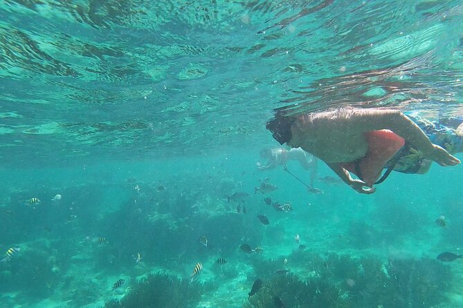 Isla Mujeres: Snorkeling Adventure at the Underwater Museum - Meeting at Señor Frogs after the ferry