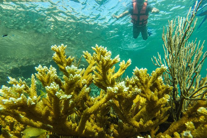 Isla Mujeres Snorkeling Tour Adventure - Practical tips for a smoother afternoon