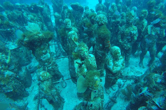 Isla Mujeres Snorkeling Tour Adventure - Should you book it?