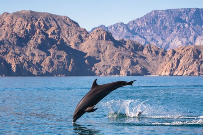 Island Tour with Snorkeling and Picnic - Snorkeling in a protected marine park