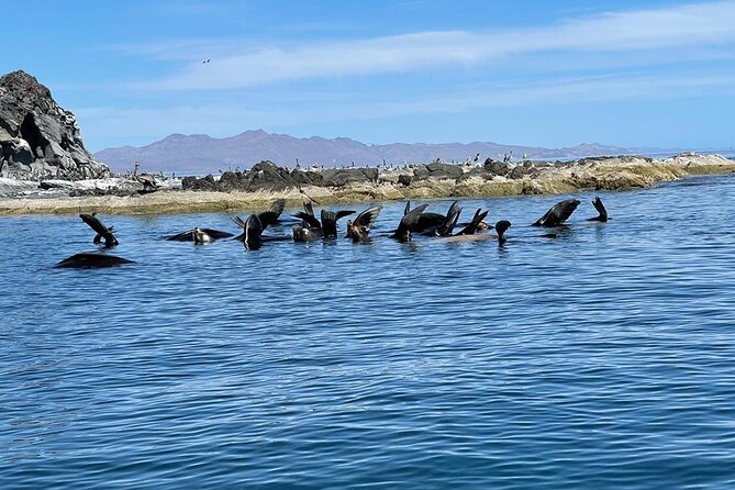 Island Tour with Snorkeling and Picnic - The English-language question