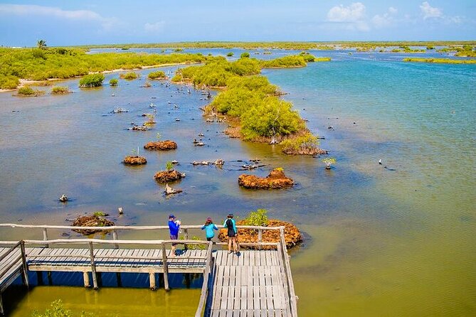 Jeep Safari All Inclusive Private Tour - What the guides add to the experience