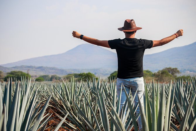 José Cuervo Tequila Day Experience from Guadalajara - The morning pickup from Guadalajara