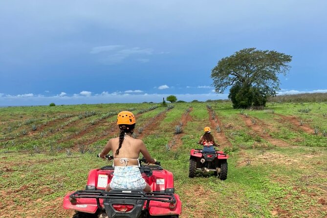 Jungle and beach ATV tour + lunch + tequila tasting - The Pacific beach stop