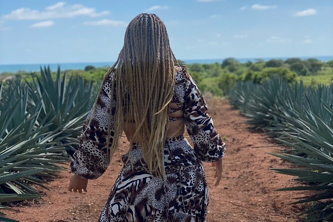 Jungle and beach ATV tour + lunch + tequila tasting - How the tequila tasting works
