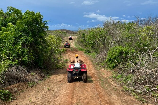 Jungle and beach ATV tour + lunch + tequila tasting - Meeting the Lionso family at the ranch