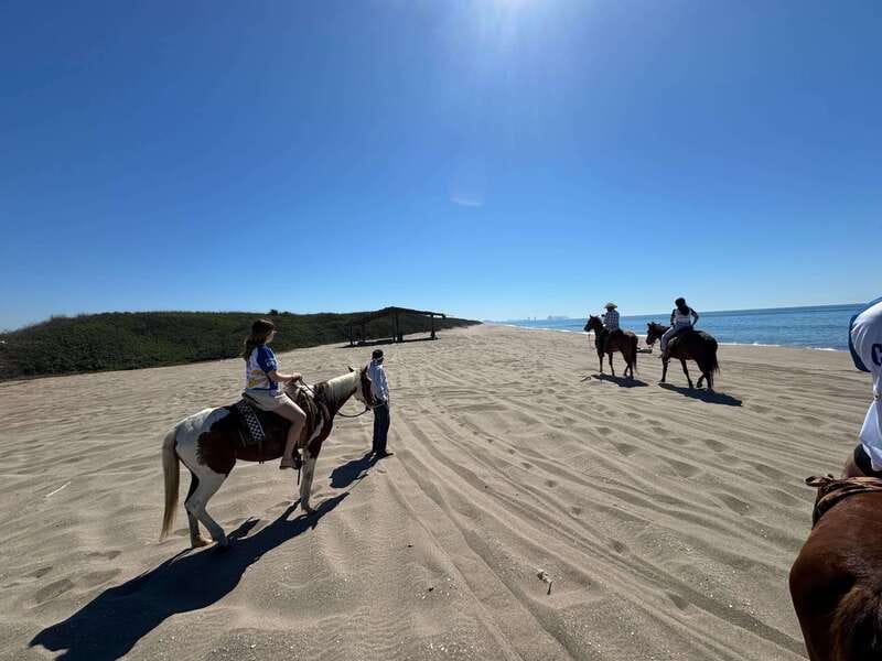 Jungle and beach horseback ride + lunch + mezcal - Why this Mazatlán outing works so well