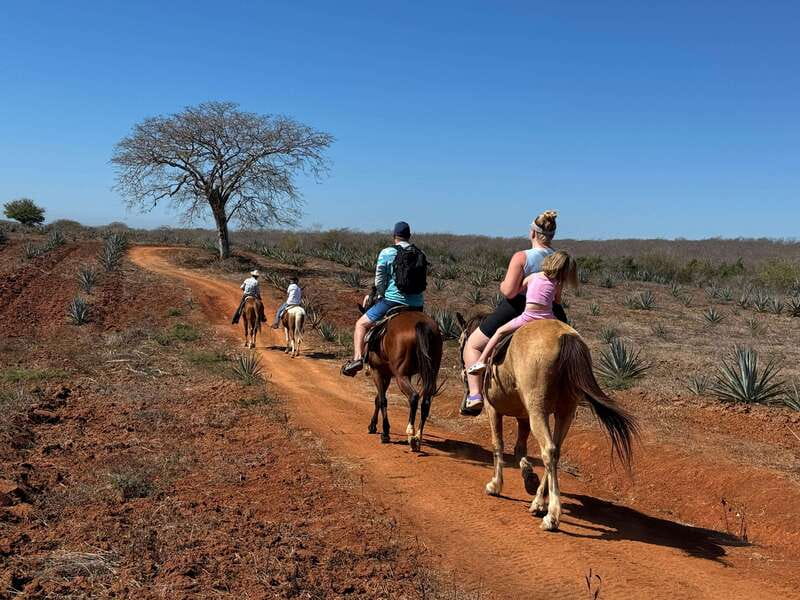 Jungle and beach horseback ride + lunch + mezcal - Who will enjoy this three-hour ranch experience?