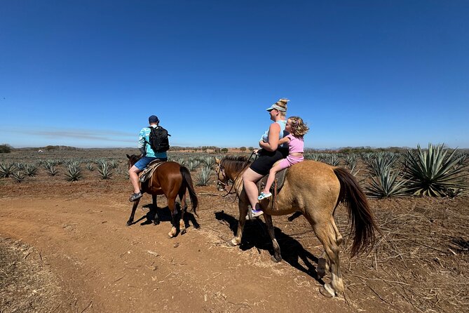 Jungle and Beach Horseback ride Tour in Pacific Coast - What makes this Mazatlan ranch outing worthwhile