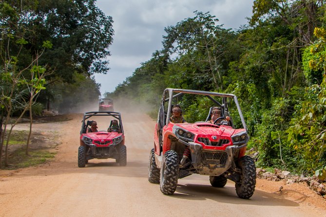 Jungle Buggy Tour from Playa del Carmen Including Cenote Swim - Why Fernando and Rigo matter