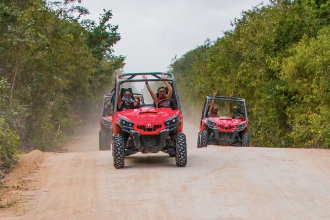 Jungle Buggy Tour from Playa del Carmen Including Cenote Swim - Small groups, shared buggies, and family fit