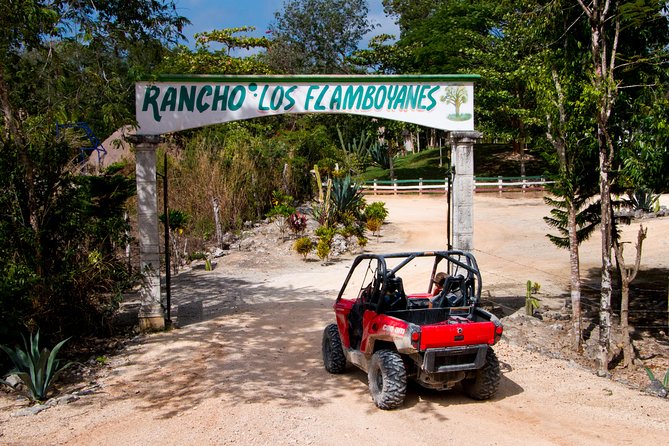 Jungle Buggy Tour from Playa del Carmen Including Cenote Swim - Is $110.29 a fair price?