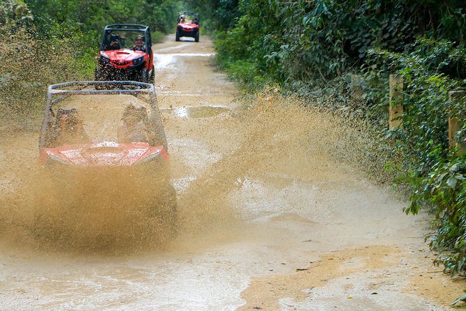 Jungle Buggy Tour from Playa del Carmen Including Cenote Swim - Booking details and cancellation flexibility