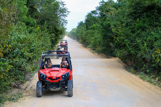 Jungle Buggy Tour from Playa del Carmen Including Cenote Swim - The cenote is the reward at the end of the trail