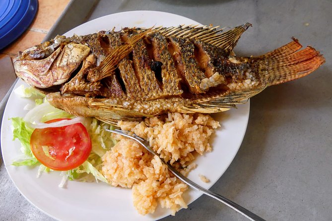 Jungle Coyuca Lagoon Boat Ride Experience & Baby Turtle Release - Barra de Coyuca and the beachside meal
