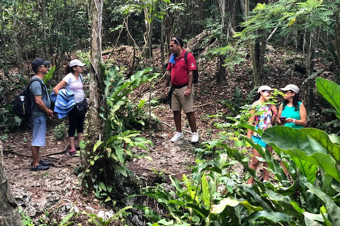 Jungle Jeep Adventure to Mayan Caves, Cenote and Snorkel - Starting at El Cedral, Cozumel’s old village