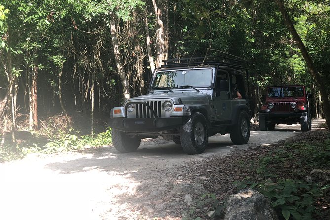 Jungle Jeep Adventure to Mayan Caves, Cenote and Snorkel - Cenote Aerolito de Paraiso: beautiful, but not predictable