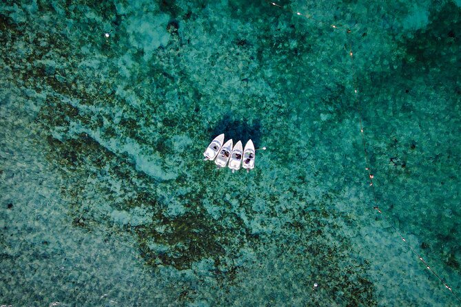 Jungle Tour & Snorkel at Punta Nizuc Reef , Underwater museum - Starting at Marina Puerto Madero