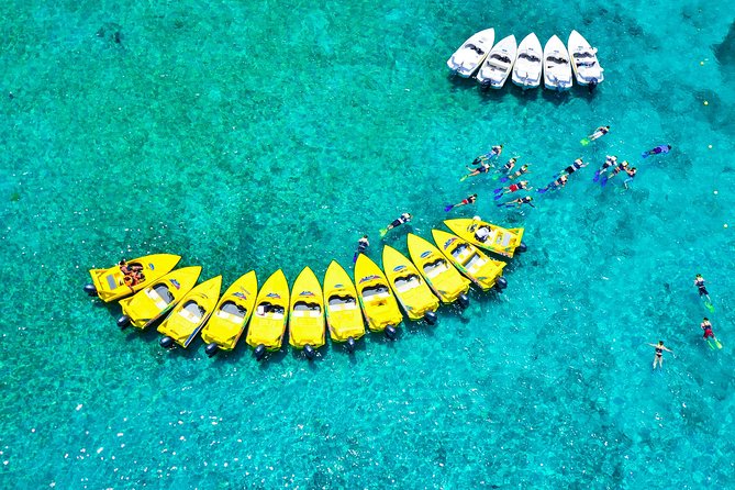 Jungle Tour with Snorkel in Cancun - Guides make the difference