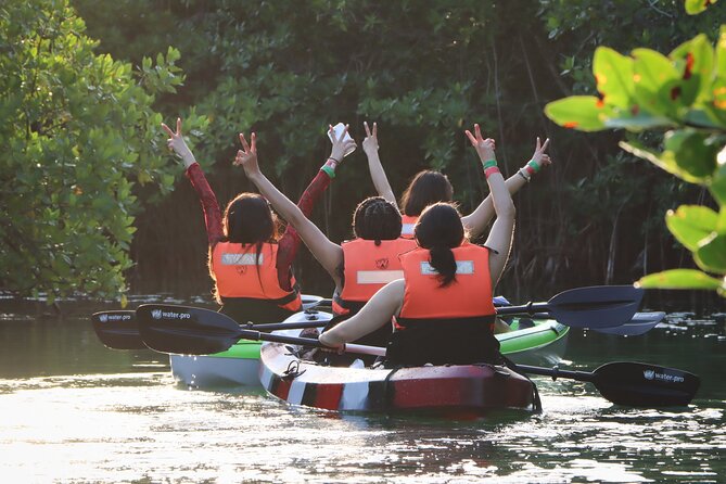 Kayak Adventure in Cancun - Entering the mangrove forest