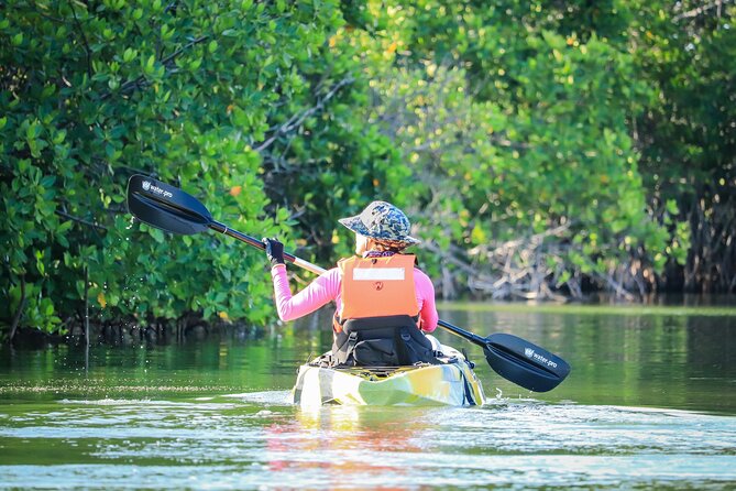 Kayak Adventure in Cancun - Why a small group makes a difference
