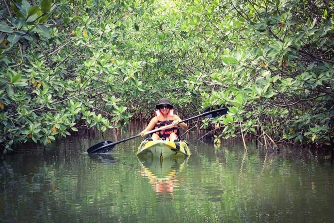 Kayak Adventure in Cancun - Snacks, photos, and the practical extras