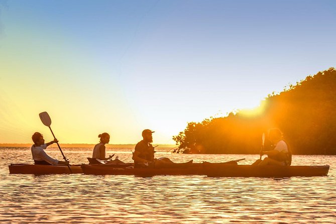 Kayak adventure through Laguna Nichupté in Cancun - Why Laguna Nichupté makes a good Cancun outing