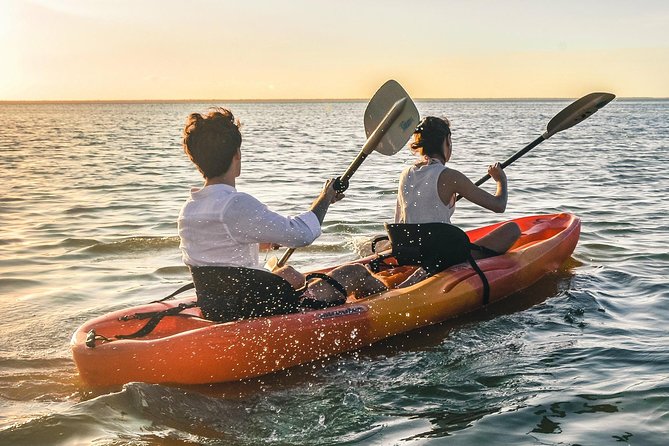 Kayak adventure through Laguna Nichupté in Cancun - How much value do you get for $52.46?