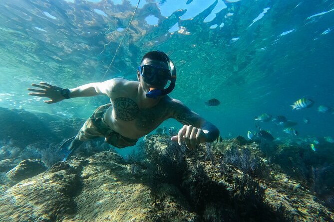 Kayak Expedition to the Arch of Cabo San Lucas, Lovers Beach & Snorkel - Pelican Rock and Cabo’s Best Part of the Morning