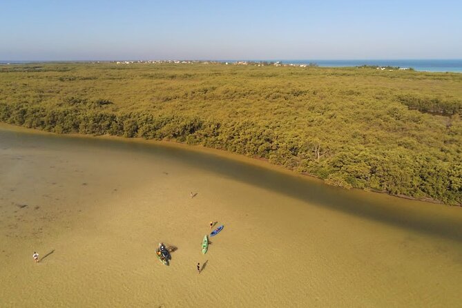 Kayak Experience in the Mangroves of Holbox Island - Punta Mosquito is the launch point