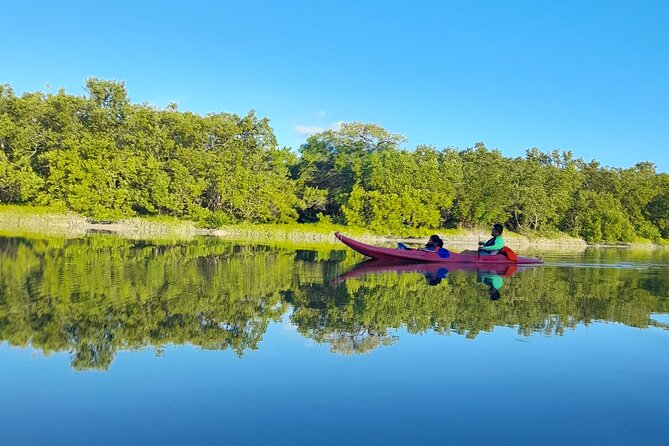 Kayak Experience in the Mangroves of Holbox Island - The paddle can be peaceful or strenuous