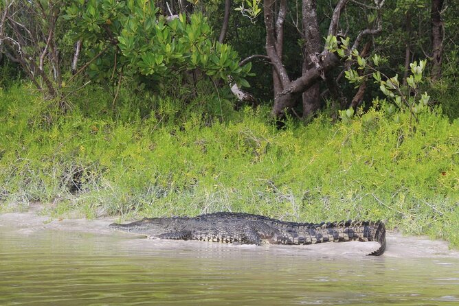 Kayak Experience in the Mangroves of Holbox Island - What can go wrong, and how to avoid it