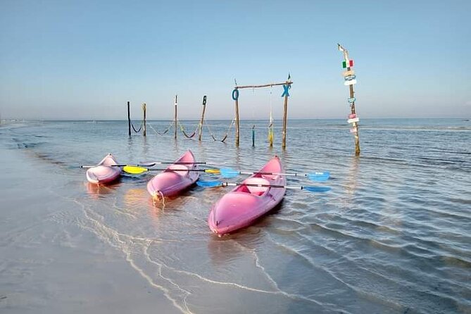 Kayak Experience in the Mangroves of Holbox Island - Who will enjoy this Holbox kayak trip?