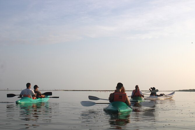 Kayak Mangroves Sunrise Experience - Why sunrise is worth the early start