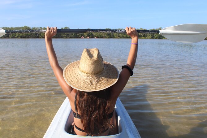 Kayak Mangroves Sunrise Experience - Wildlife watching among the roots