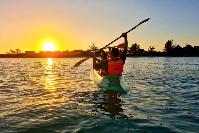 Kayak Mangroves Sunrise Experience - What the guides add to the morning