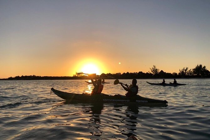 Kayak Mangroves Sunrise Experience - Entering Yum Balam Reserve by kayak