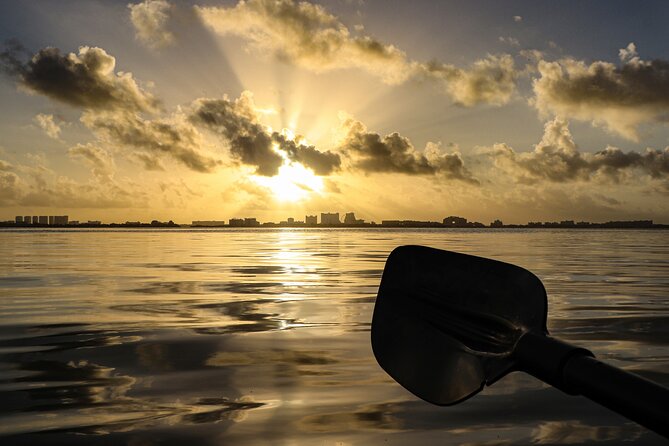 Kayak Tour at Sunset in Cancun - Is $50.12 a Fair Price?