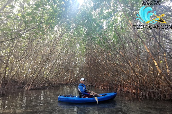 Kayak TOUR POR Laguna Nichupte Cancun - What the $38 Includes