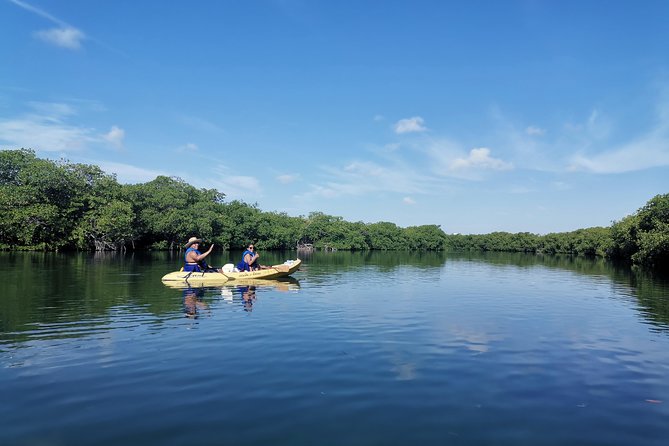 Kayak TOUR POR Laguna Nichupte Cancun - Finding the Right Fit for Your Group