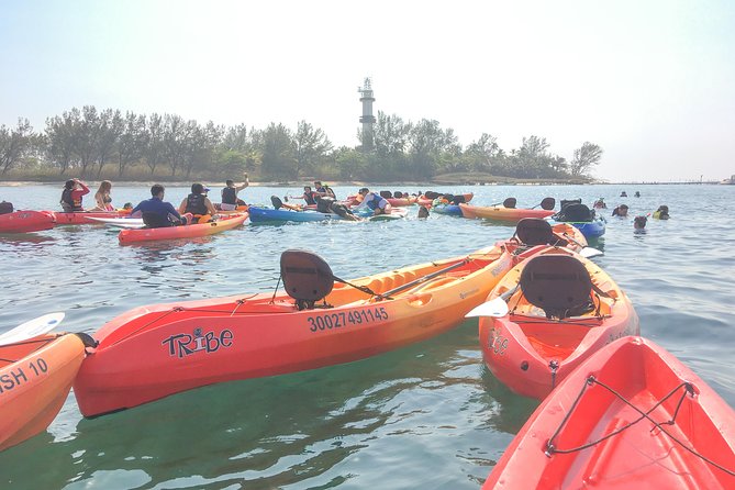 Kayaking on the Island of Sacrifices - Wildlife, visibility, and the luck factor