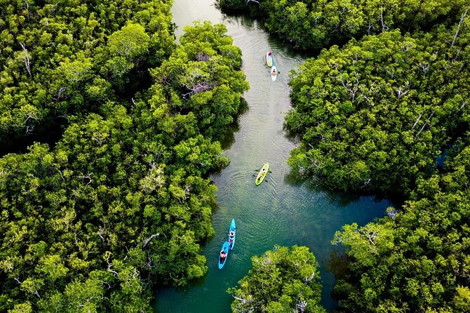 Kayaking Tour in Cancun - Fitness, weight limits, and comfort