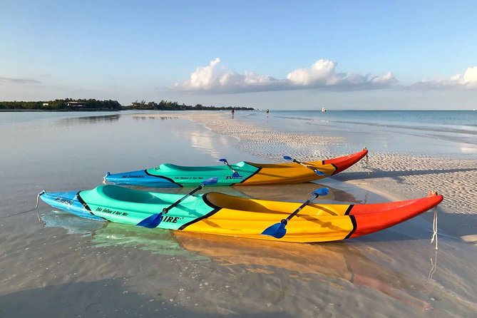 Kayaking Tour Through the Mangroves in Isla Holbox - Why Holbox’s mangroves are worth your morning