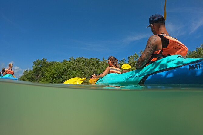 Kayaking Tour Through the Mangroves in Isla Holbox - Morning timing, heat, and mosquitoes