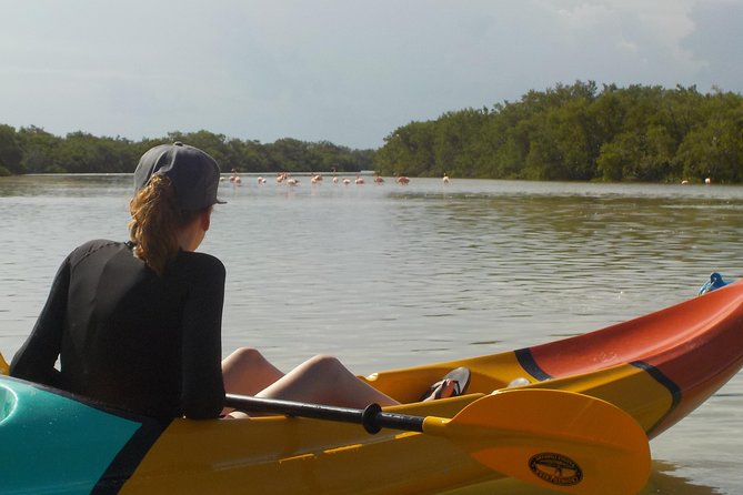 Kayaking Tour Through the Mangroves in Isla Holbox - Small groups and included equipment